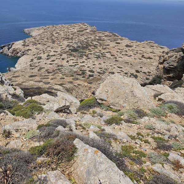 Άνυδρος Αμοργού