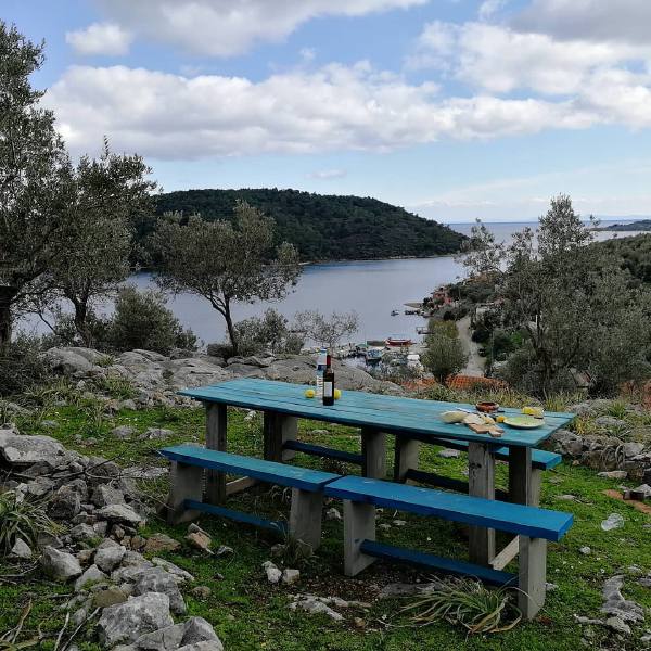 Φωτογραφία, Gera, Lesbos, 2018-02-25 16:13:07
