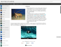 site_564.png