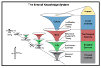 Tree_of_Knowledge_System.png